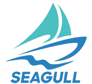 Seagull